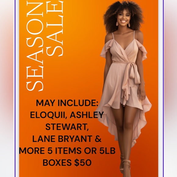 MYSTERY PLUS SZ $50 BOXES 1X UP 5X 5LB BXS MAY  INC ELOQUII ASHLEY STEWART MORE - Picture 3 of 4